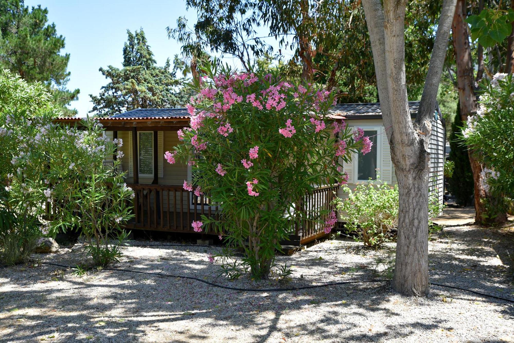 Hotel Location Du Ranch Algajola  Exterior foto