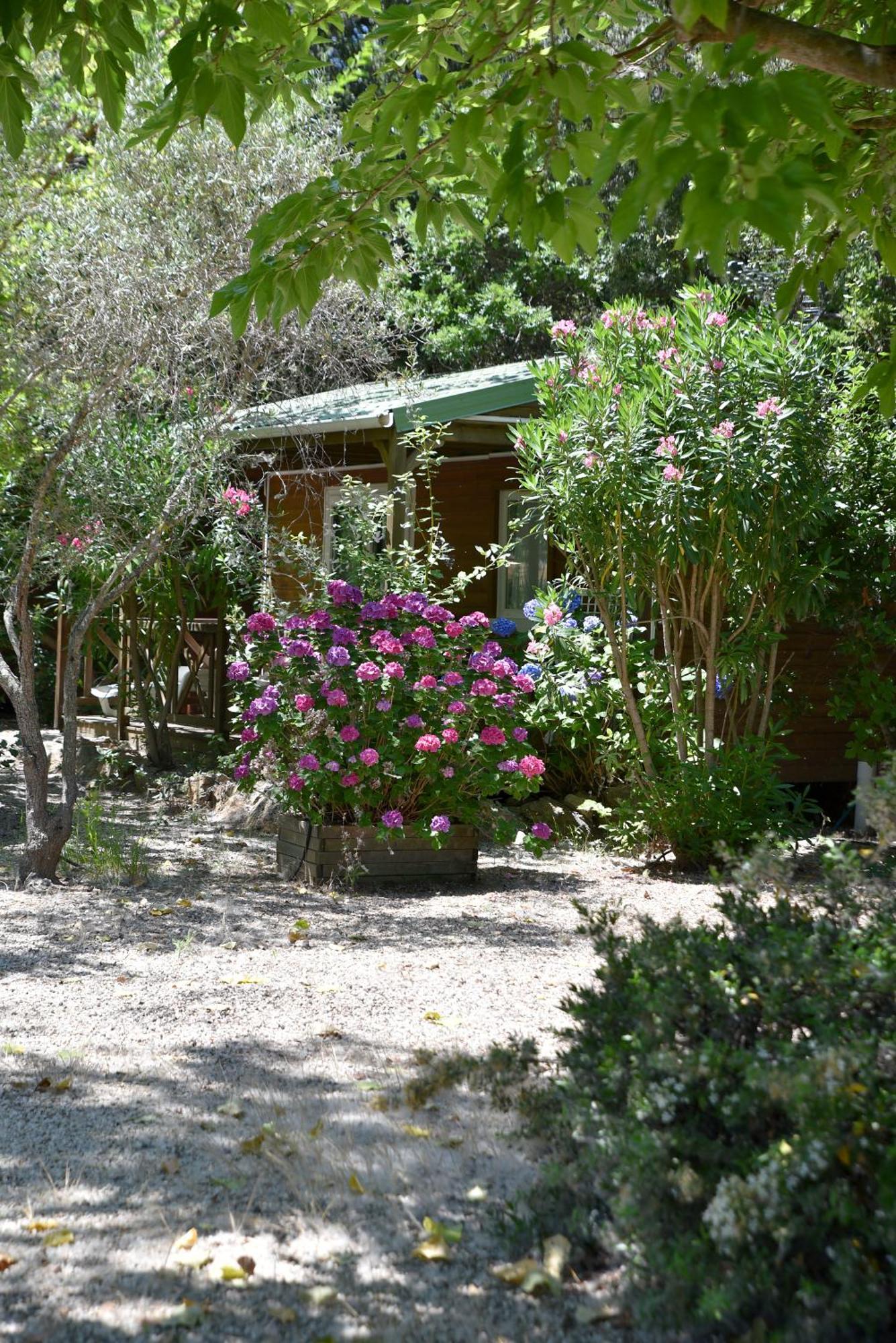 Hotel Location Du Ranch Algajola  Exterior foto